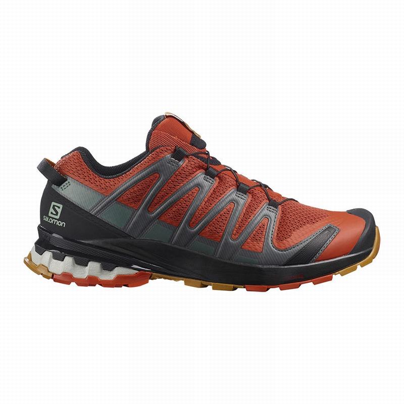 Salomon Trail Løbesko Herre Sort - XA PRO 3D V8 (MLTXA-2816)